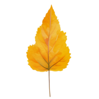 Aquarell Herbst Blatt, ai generativ png