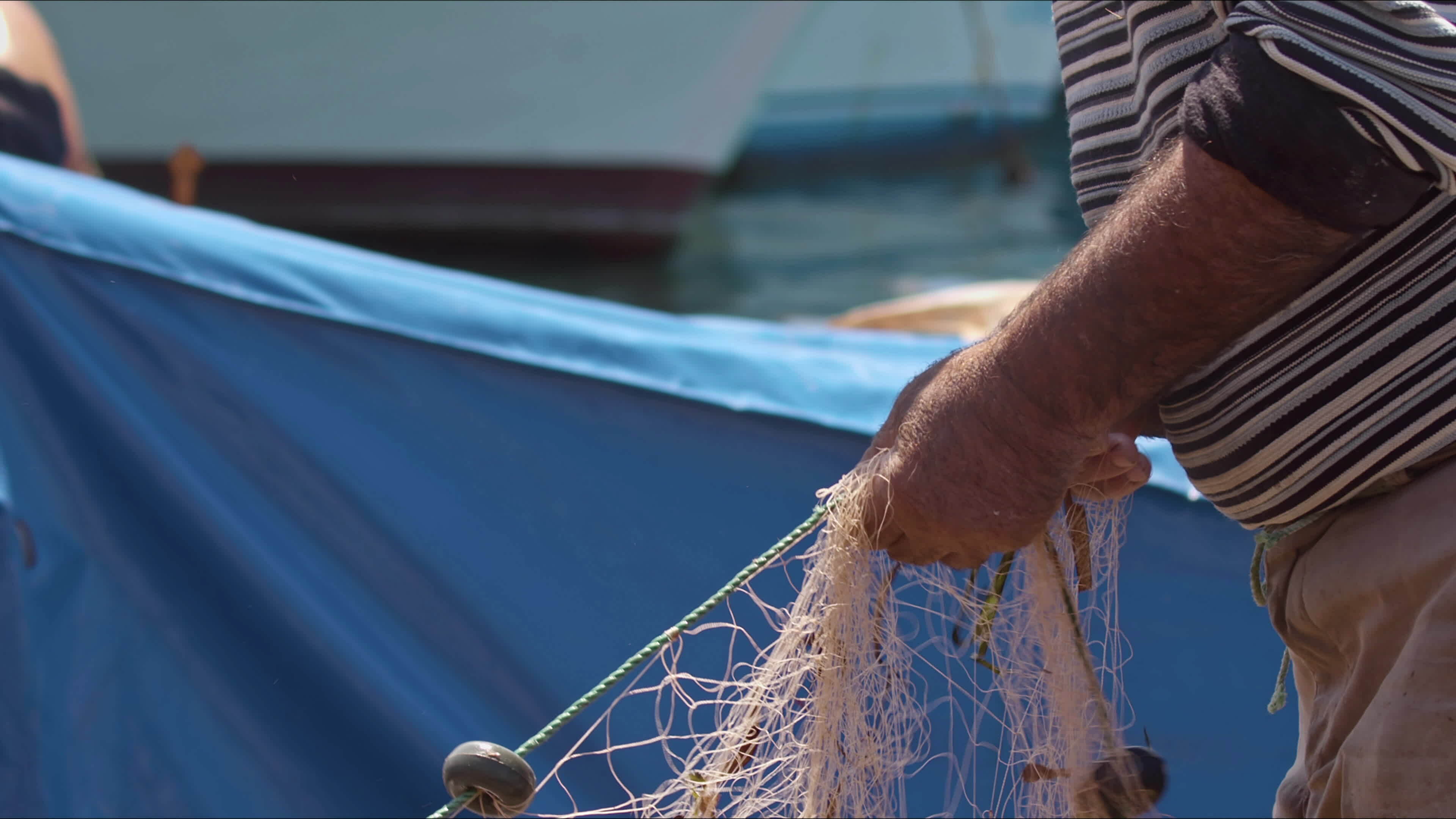 Fisherman Stock Video Footage for Free Download