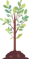 joven plantas en el suelo, plantado árbol, plano estilo dibujos animados ilustración. png