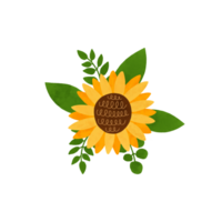 zonnebloem boeket geïsoleerd element. waterverf hand- getrokken wilde bloemen illustratie. schattig geel zonnebloemen decoratief groen bladeren, gemakkelijk weide fabriek. herfst botanisch ontwerp. png