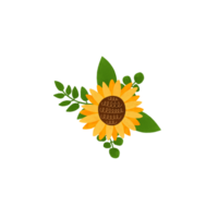Cute sunflower bouquet isolated element. Watercolor hand drawn wildflower illustration. Cute yellow sunflowers decorative green leaves, simple meadow plant. Autumn botanical design. png