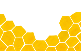 Colmena panal horizontal antecedentes. acuarela textura hexágono cuadrícula células y abeja miel dibujos animados bandera. infantil estilo frontera con grande escala abeja panal. amarillo orgánico miel impresión png