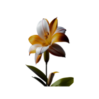 magnifique jasmin fleur sur transparent Contexte png