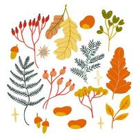 Set with autumn elements such as leave, berries. Isolated fall coloured elements for stickers, t-shirs printing. vector