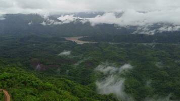 aéreo Visão do a árvores dentro a vale com névoa dentro a manhã. panorama do enevoado vale e montanha nuvens dentro tailândia. a alvorecer do a montanhas com a mar do névoa. video