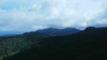 aéreo Visão do a árvores dentro a vale com névoa dentro a manhã. panorama do enevoado vale e montanha nuvens dentro tailândia. a alvorecer do a montanhas com a mar do névoa. video