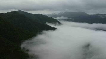 aéreo ver de el arboles en el Valle con niebla en el Mañana. paisaje de brumoso Valle y montaña nubes en tailandia el amanecer de el montañas con el mar de neblina. video