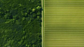 Generative AI, Farm landscape, agricultural fields, beautiful countryside, country road. Nature Illustration, photorealistic top view drone, horizontal banner. photo