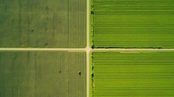 generativo ai, granja paisaje, agrícola campos, hermosa campo, país la carretera. naturaleza ilustración, fotorrealista parte superior ver zumbido, horizontal bandera. foto