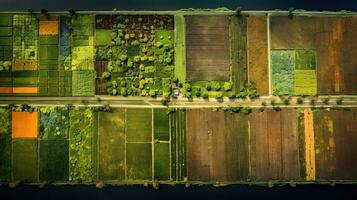 generativo ai, granja paisaje, agrícola campos, hermosa campo, país la carretera. naturaleza ilustración, fotorrealista parte superior ver zumbido, horizontal bandera. foto