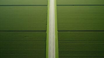 generativo ai, granja paisaje, agrícola campos, hermosa campo, país la carretera. naturaleza ilustración, fotorrealista parte superior ver zumbido, horizontal bandera. foto