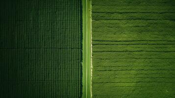 Generative AI, Farm landscape, agricultural fields, beautiful countryside, country road. Nature Illustration, photorealistic top view drone, horizontal banner. photo