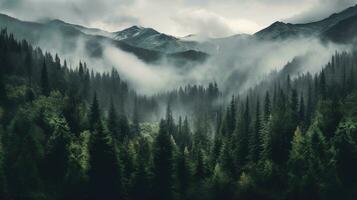 Generative AI, Misty fir forest beautiful landscape in hipster vintage retro style, foggy mountains and trees photo