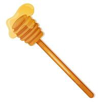 Wooden honey dipper isolated on white. vector