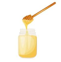 Honey in a glass jar with honey dipper outside the bottle. vector