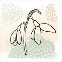 modern abstract illustration of snowdrops flowers, leaves, different lines and shapes for wall decoration, postcards or brochure cover design. vector design illustration