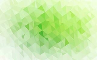 Light Green vector polygon abstract layout.