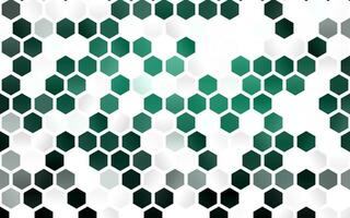 Light Green vector texture with colorful hexagons.