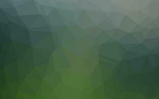 Light Green vector blurry triangle template.