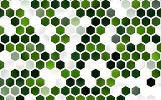 diseño de vector verde claro con formas hexagonales.