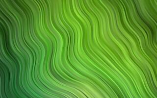 Light Green vector background with bent ribbons.