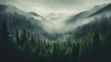 , Misty fir forest beautiful landscape in hipster vintage retro style, foggy mountains and trees photo