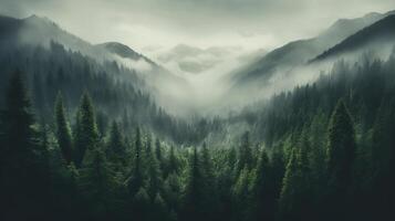 Generative AI, Misty fir forest beautiful landscape in hipster vintage retro style, foggy mountains and trees photo