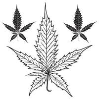 Cannabis leaf outline vector art