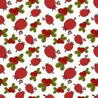 seamless pattern colored doodle fruits cranberry and pomegranate on white - summer and autumn background, vector illustration. For packaging, textiles, wallpapers, web design
