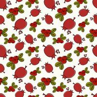 seamless pattern colored doodle fruits cranberry and pomegranate on white - summer and autumn background, vector illustration. For packaging, textiles, wallpapers, web design