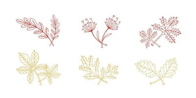 doodle icon set outline autumn leaves of maple, oak, rowan, chestnut and herb grass - vector illustration, autumn design elements, red and orange line on white background