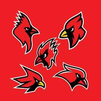 Cardinal mascot logo icon design illustration vector