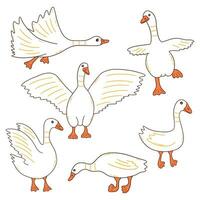 White geese in different poses. Vector hand drawn