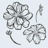 Hand drawn cosmos bright light flower Black silhouette of a garland of cosmos flowers Vector illustration