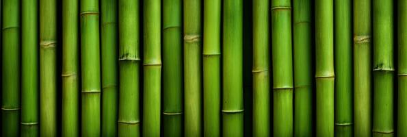 Vertical green bamboo background texture photo