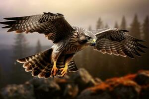 Flying falcon in the nature background photo