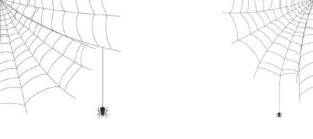 White Halloween banner with spiderweb and spiders and copy space for text. Vector background.