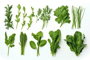 Collection of fresh herb leaves on white background. photo