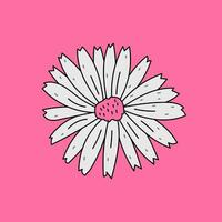 Chamomile doodle greeting card vector