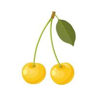 Vector illustration, yellow Cherry, isolated on white background.