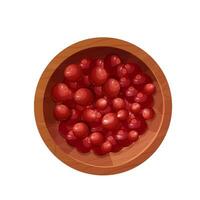 En Cranberry red berries in wooden bowl top view cartoon style isolated on white background. Vector illustration