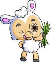 Cartoon little sheep holding grass on white background vector