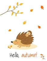 Poster in A4 format with a cute hedgehog, mushroom and autumn leaves in cartoon style. Forest animals and plants. Hello, autumn. vector