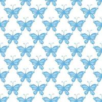 Seamless butterfly pattern. Drawn butterfly background vector