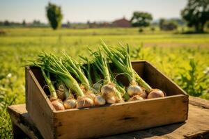 A wooden box full of onions on a green field. photo