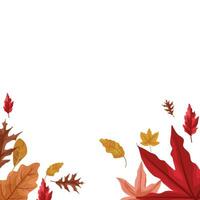 autumn border with dried maple leaves decoration vector