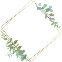 leaf frame with wild leaves and eucalyptus leaves vector