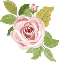 a bouquet with beautiful pink roses vector