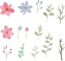 wild flowers and leaves elements vector