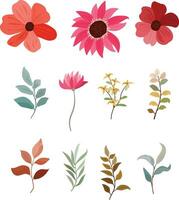 set of wild flower and leaf elements vector